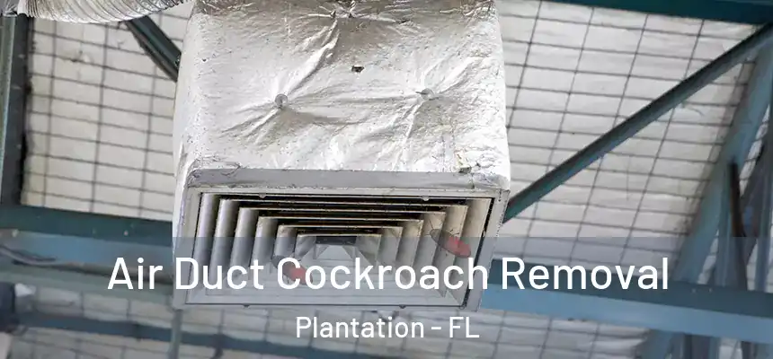 Air Duct Cockroach Removal Plantation - FL