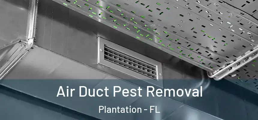 Air Duct Pest Removal Plantation - FL