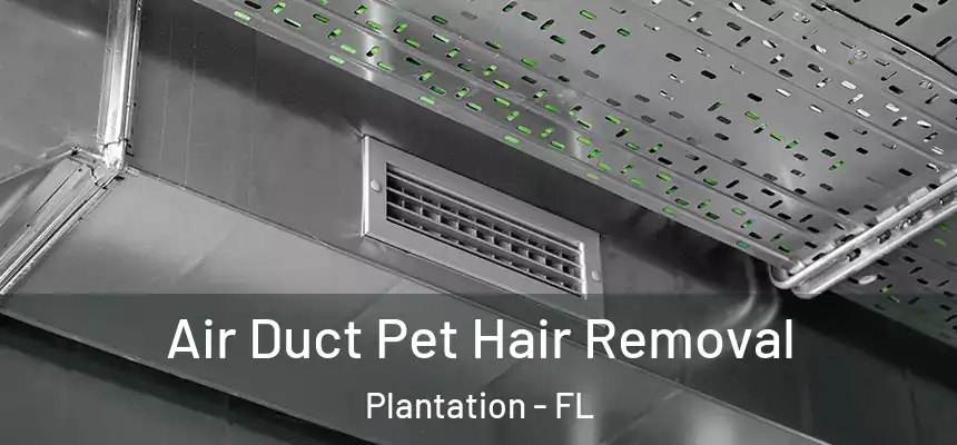 Air Duct Pet Hair Removal Plantation - FL