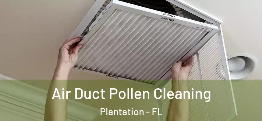 Air Duct Pollen Cleaning Plantation - FL