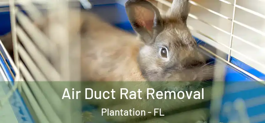 Air Duct Rat Removal Plantation - FL