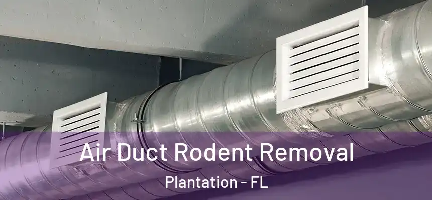 Air Duct Rodent Removal Plantation - FL