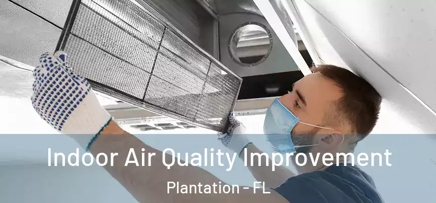 Indoor Air Quality Improvement Plantation - FL