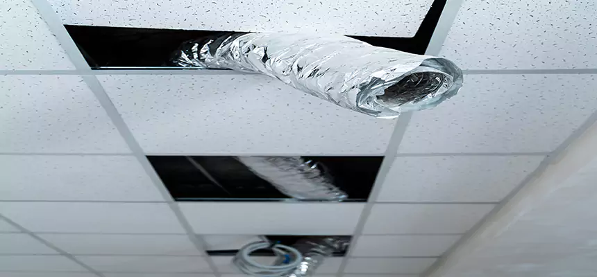 Our Air Duct Pet Hair Removal Services in Plantation, FL