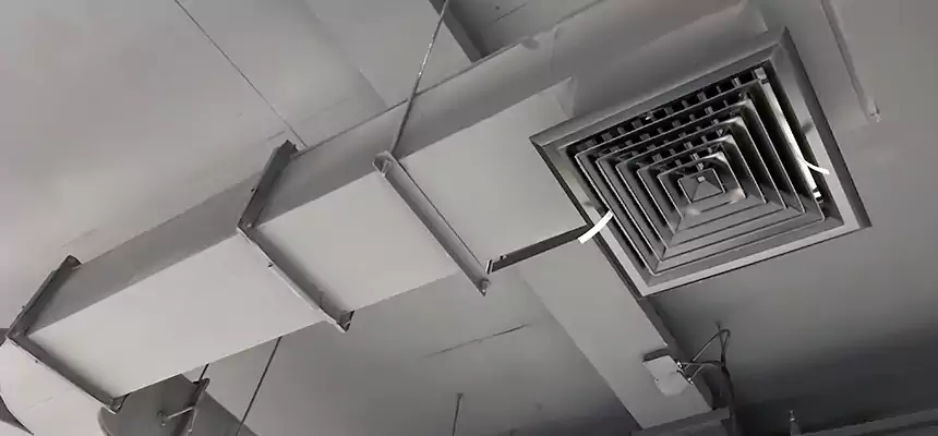 Restorative Allergy Relief Vent Cleaning – Coil, Blower & Housing Detail in Plantation