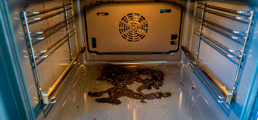 Our Dryer Vent Mold Cleaning Services in Plantation, FL