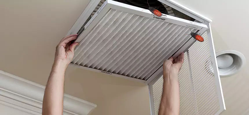 Our Insect Removal from Air Ducts Services in Plantation, FL