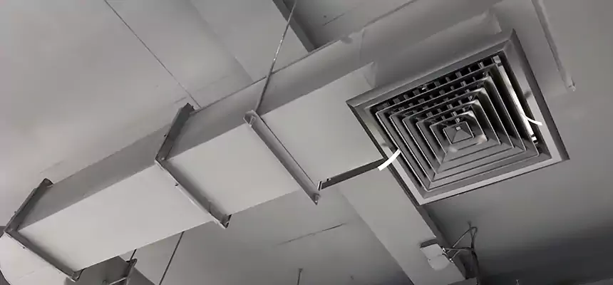 Our Pest Removal From Ducts Services in Plantation, FL