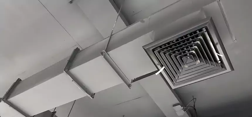 Our Rodent Droppings In Vents Services in Plantation, FL