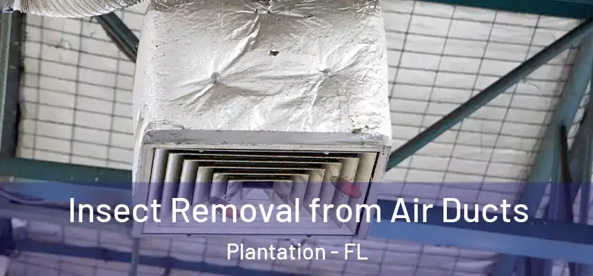 Insect Removal from Air Ducts Plantation - FL