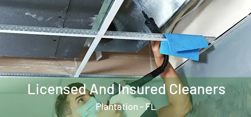 Licensed And Insured Cleaners Plantation - FL