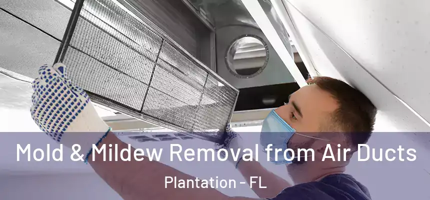  Mold & Mildew Removal from Air Ducts Plantation - FL