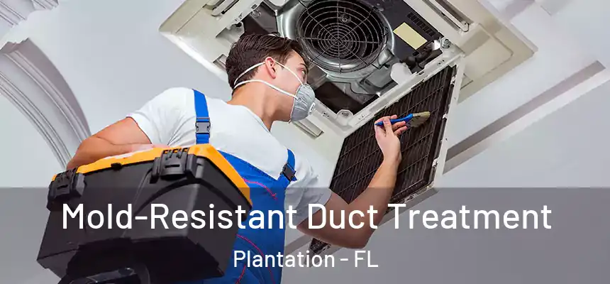 Mold-Resistant Duct Treatment Plantation - FL