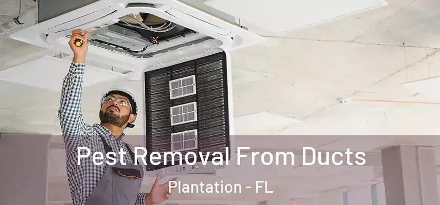 Pest Removal From Ducts Plantation - FL