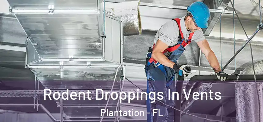 Rodent Droppings In Vents Plantation - FL