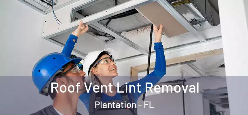 Roof Vent Lint Removal Plantation - FL