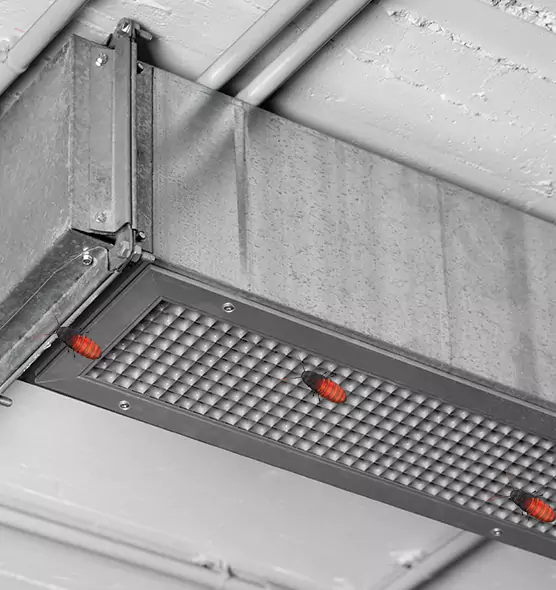 About Air Duct Cockroach Removal in Plantation, FL