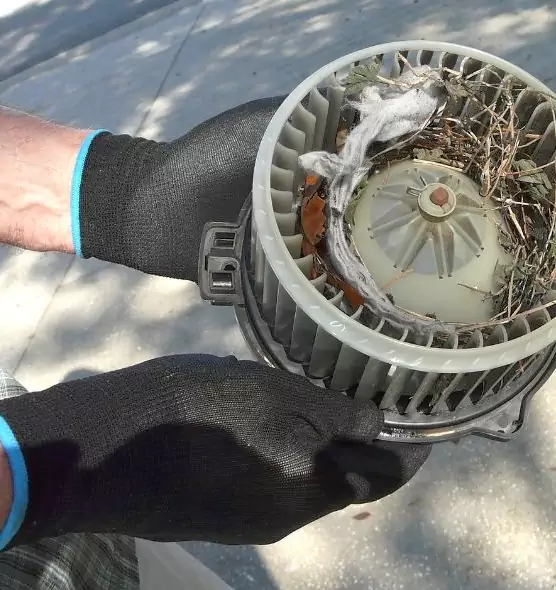 About Air Duct Mice Removal in Plantation, FL