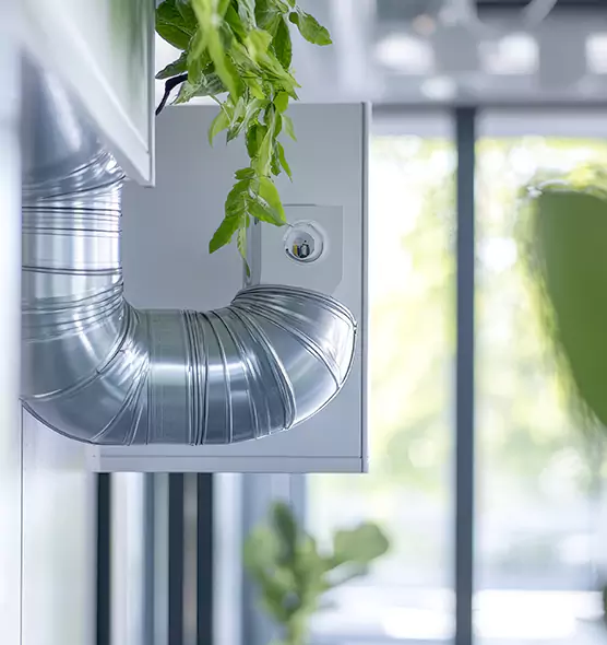 Professional Eco-Safe Dryer Vent Cleaning in Plantation, FL