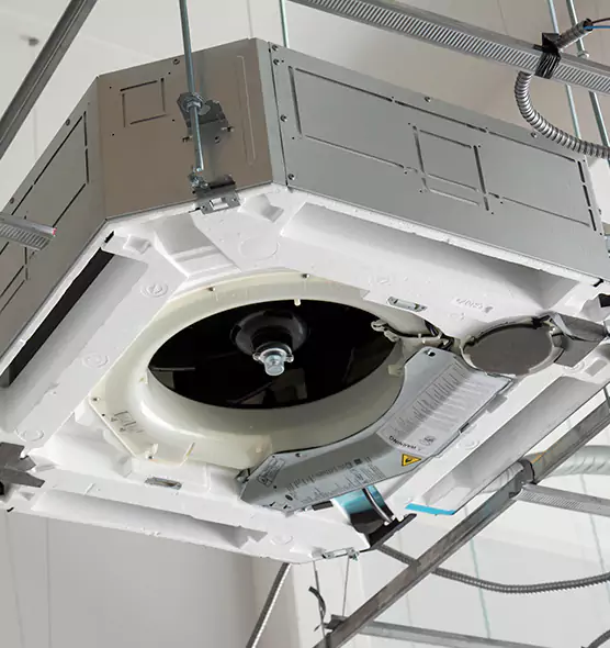 Professional Roof Vent Lint Removal Plantation, FL