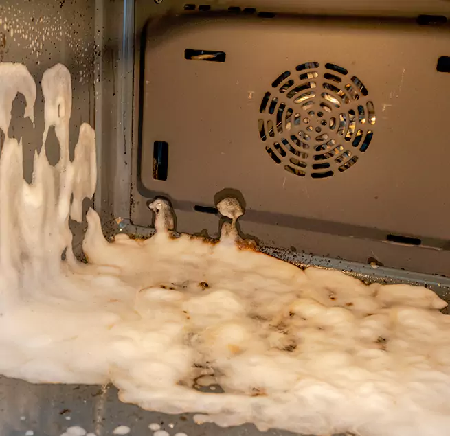 Why Homeowners & Businesses Trust Us in Plantation, FL?