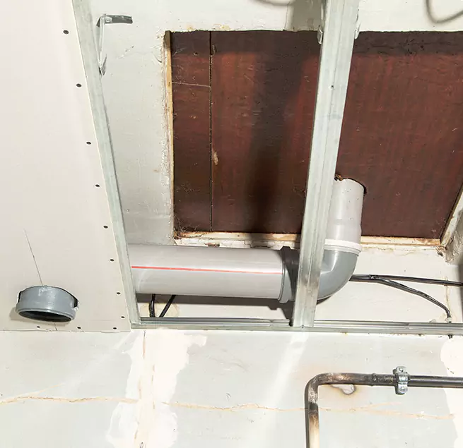 Why Homeowners & Businesses Trust Us in Plantation, FL?