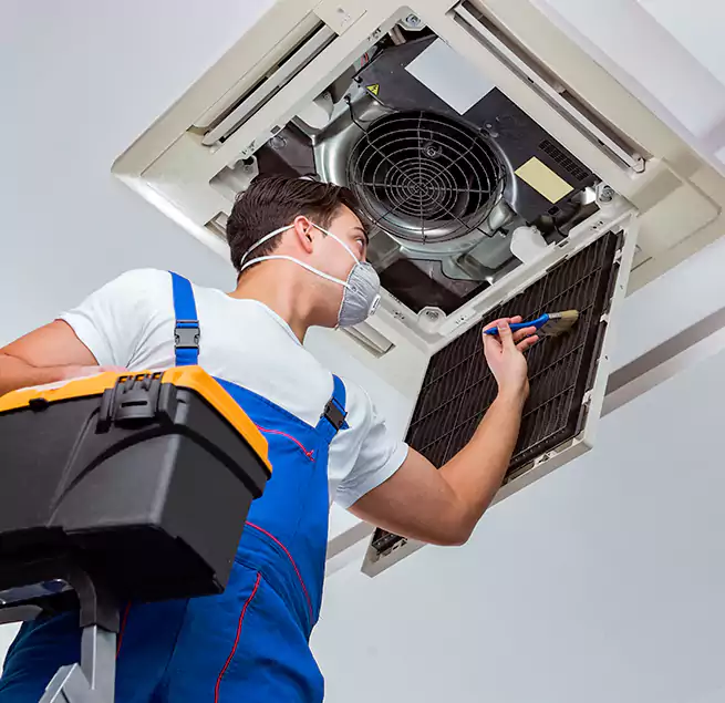 Why Homeowners & Businesses Trust Us in Plantation, FL?