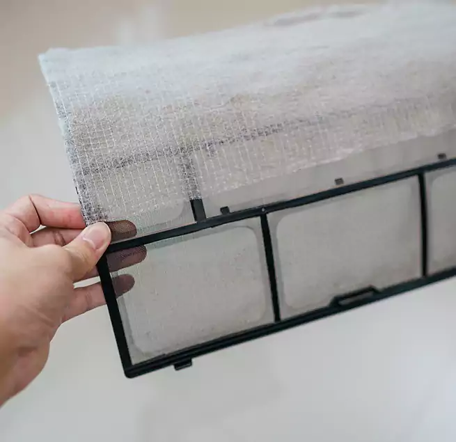 Why Homeowners & Businesses Trust Us in Plantation, FL?