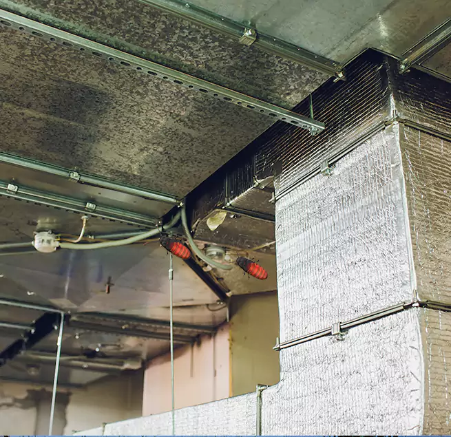 Why Homeowners & Businesses Trust Us Plantation, FL?