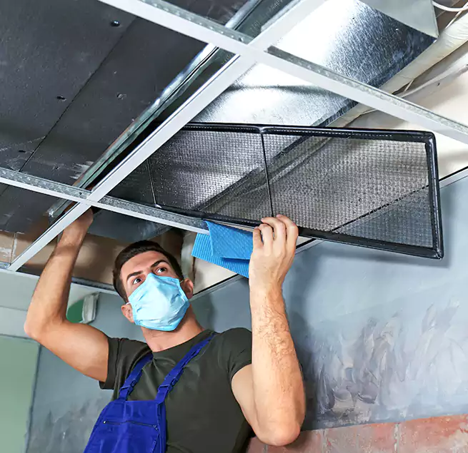 Why Homeowners Businesses Trust Us in Plantation, FL